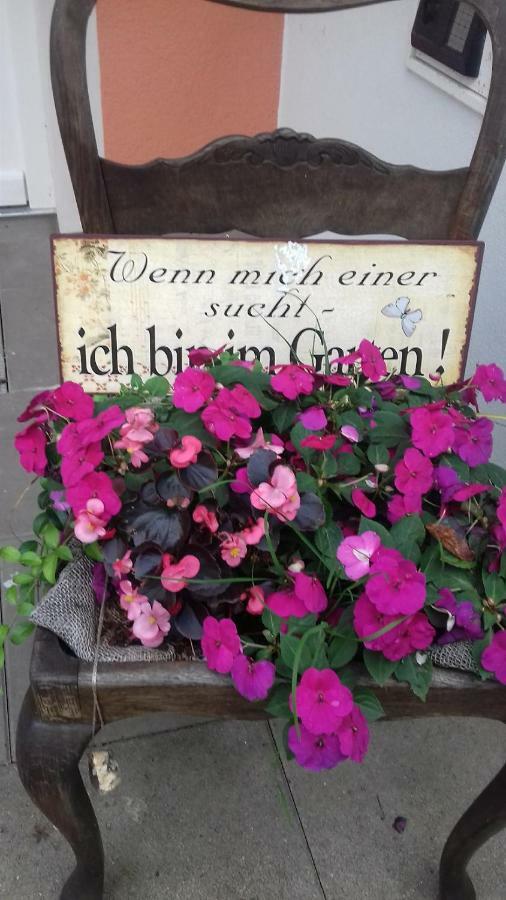 Fewo 1 Waren Mueritz - Haus Buchen Am Tiefwarensee - 1 Zi Exteriér fotografie